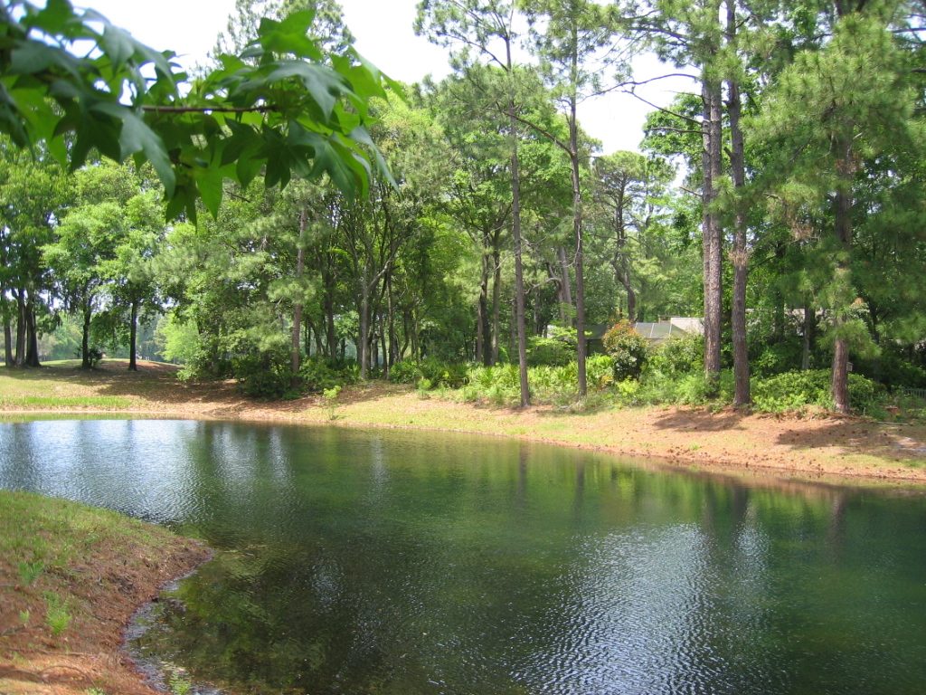 Walking around the edge of the lagoon